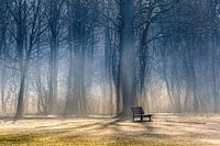 S'ASSEOIR BOIS DE DELFT