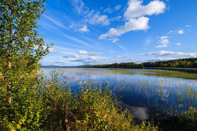 Enjoying the tranquility by Joke Beers-Blom
