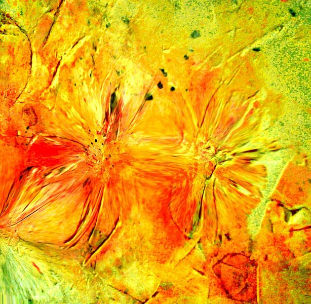 LUST AUF SOMMER von Barbara Mueller