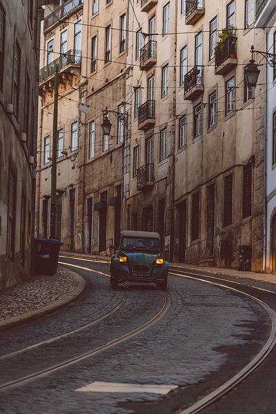 Ugly duckling on tour by Eline Huizenga