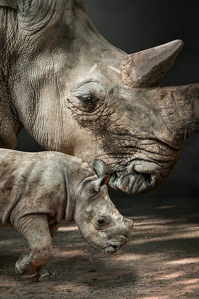 RhinoMom von Marcel Egger
