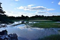 Rustige hoek van Lough Leane