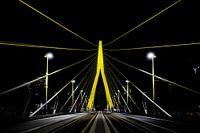 Pont Erasmus, Rotterdam