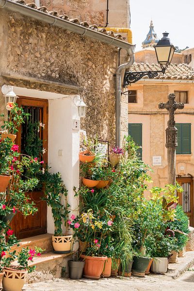 Rue pittoresque de Valldemossa par Evelien Oerlemans