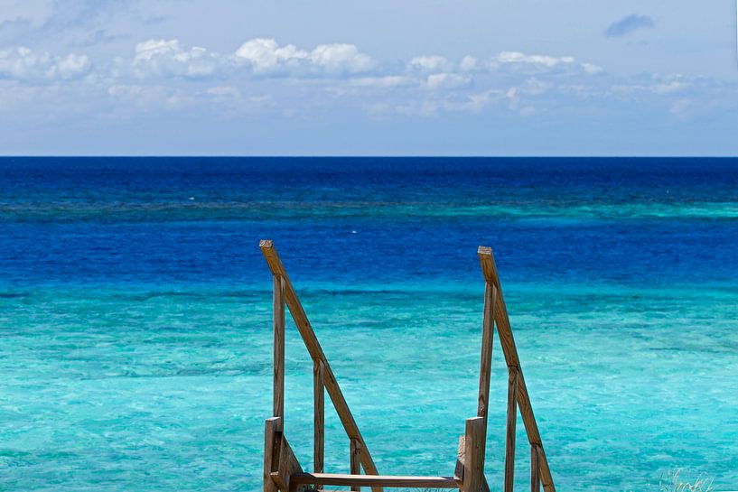 stairs to tropical beach by gea strucks