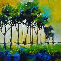 Sonnenlicht durch die Zweige