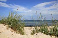 Sommer an der Ostsee