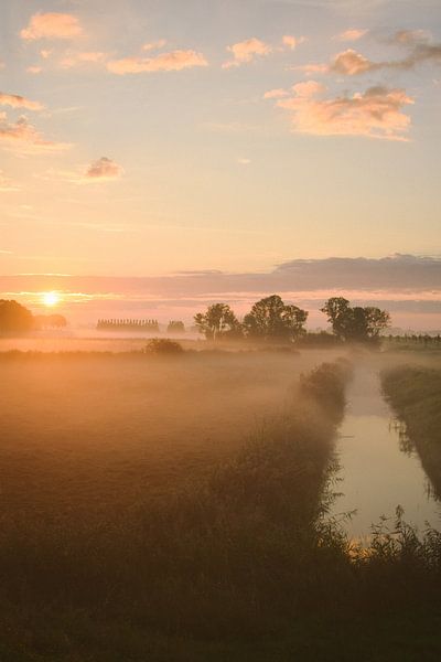 Foggy summer sunrise by Jisca Lucia