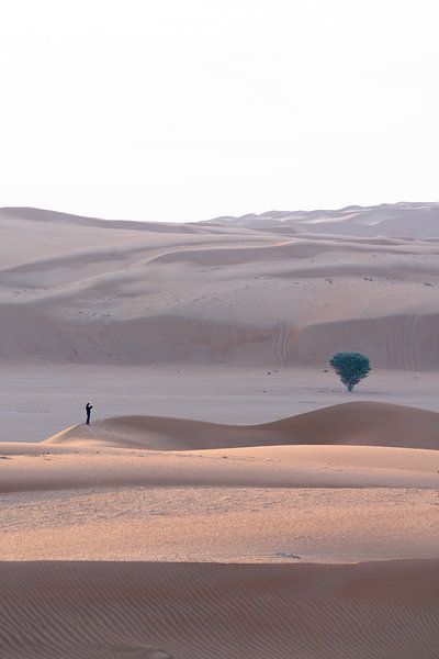 Small in the Desert of Oman by The Book of Wandering
