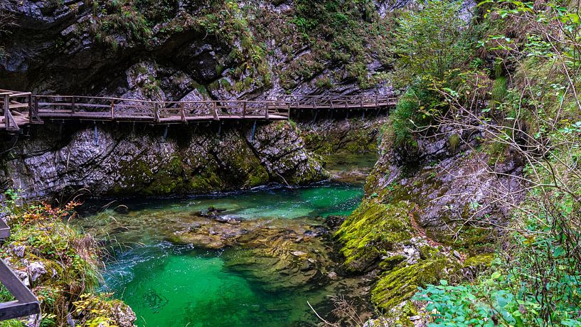 Radovna river in the Vintgar canyon (Slovenia) by Jessica Lokker