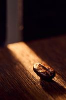 Die Kaffeebohne im Rampenlicht