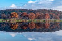 De laatste herfstkleuren