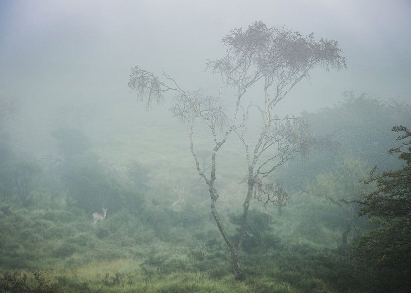 Amsterdam Water Supply Dunes by martin slagveld