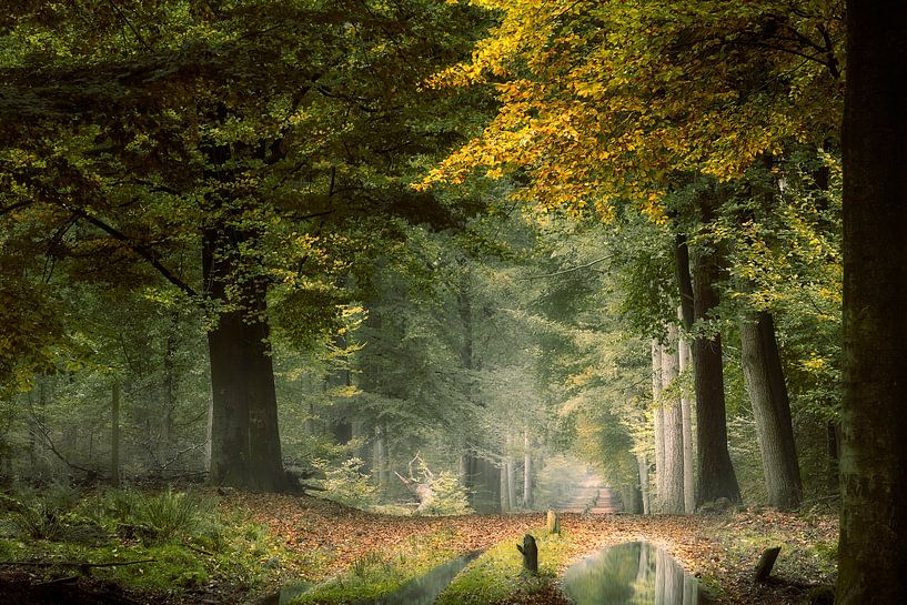 Moment der Ruhe von Kees van Dongen