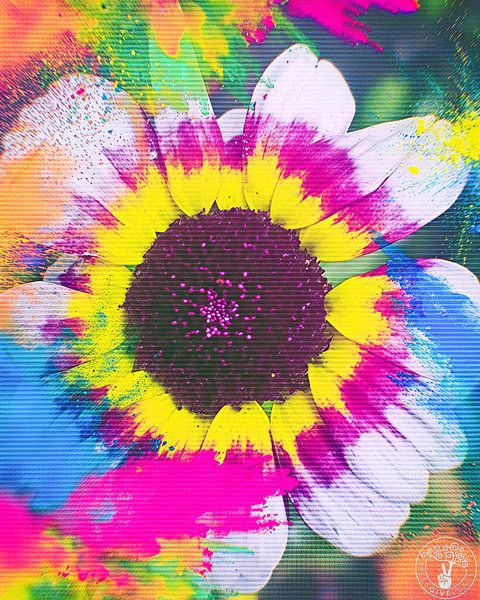 Sommer des Jahres 2025 Farben von treesgivepeace.nl