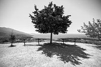 Vue sur la mer, Samos Grèce Noir et blanc