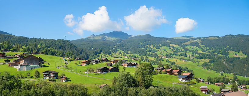 Hügellandschaft Grindelwald, Berner Oberland von SusaZoom