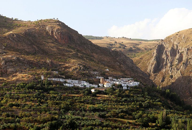 Timar Alpujarras by Jan Katuin