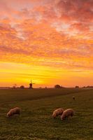 Die Weteringer Mühle vor und nach Sonnenaufgang