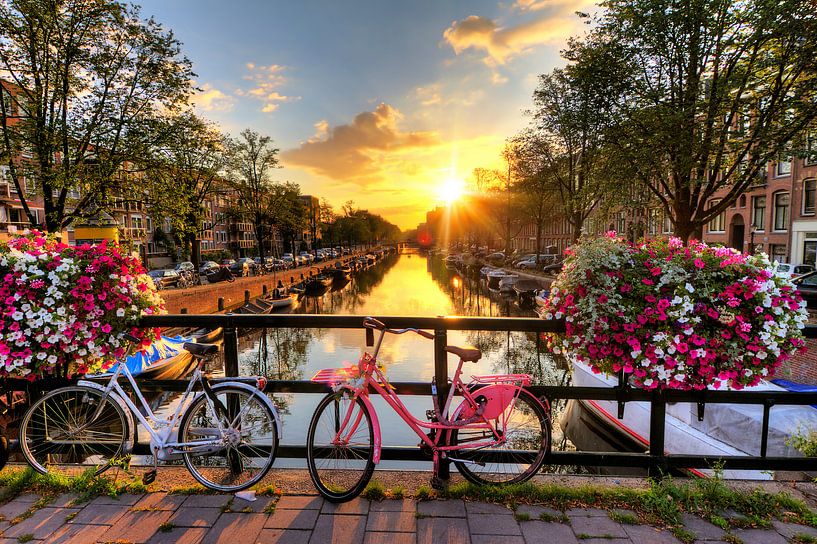 Amsterdam sunny bridge by Dennis van de Water