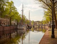 Morgenlicht im Langen Hafen in Schiedam