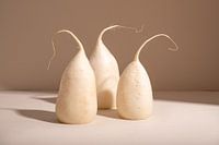 In tropischen Sphären I