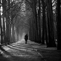 The man with the hat