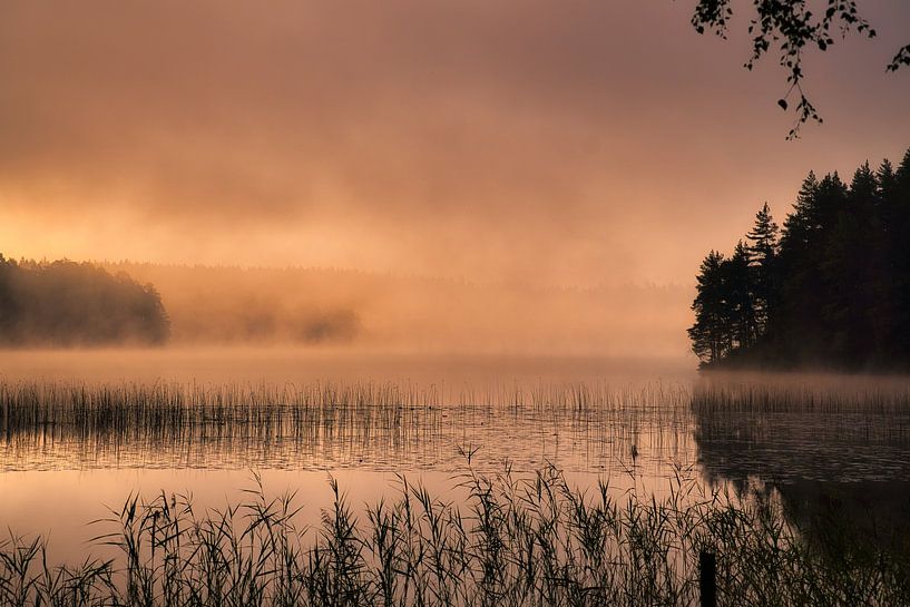 Sonnenaufgang mit Nebelbildung über einem See in Schweden, in der Morgendämmerung von Martin Köbsch
