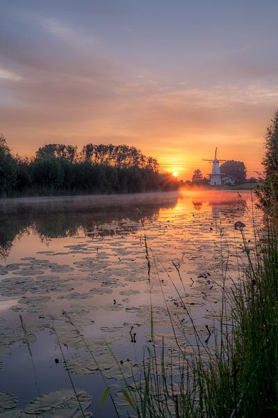 Prachtige molen de Vlinder aan de Linge van Moetwil en van Dijk - Fotografie