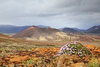 Paysage volcanique Berserkjahraun, Snæfellsnes Iceland