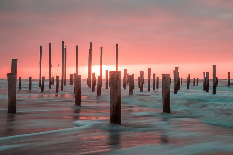 Palendorp Petten 3 by Nuance Beeld