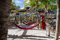 Sun, beach and hammock