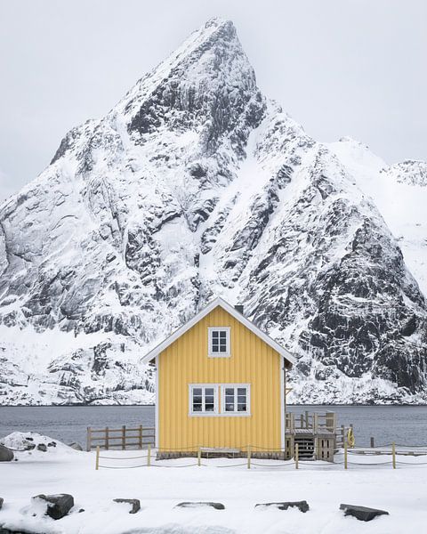 Fisherman's cottage on the Lofoten by Heleen Middel