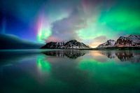 Bird of Skagsanden, Lofoten