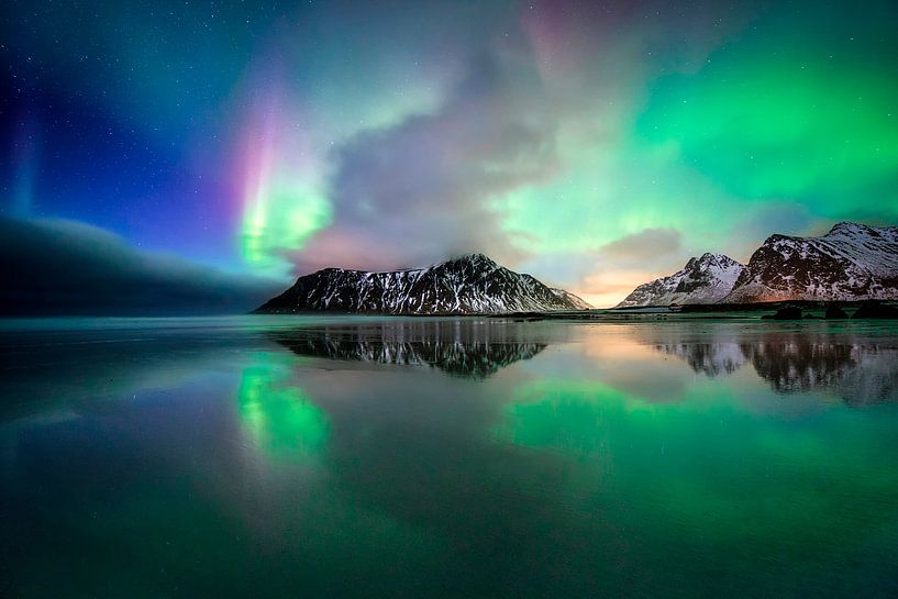 Oiseau de Skagsanden par Sven Broeckx