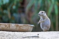 C'est à moi que vous parlez ?