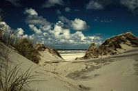 Dune formation on Ameland.