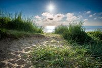 Bloemendaal by the sea dune crossing