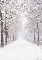 Die Narnia-Wanderung: verloren in Schnee und Zeit