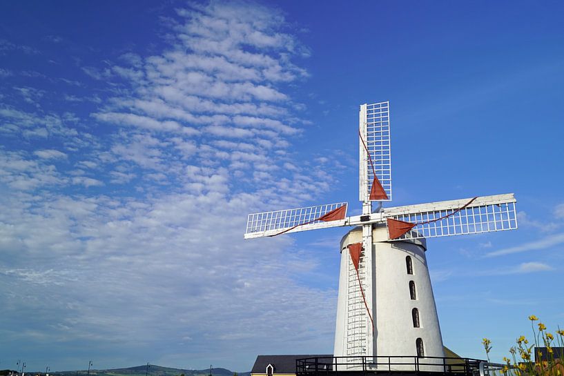 Die Blennerville Windmühle von Babetts Bildergalerie