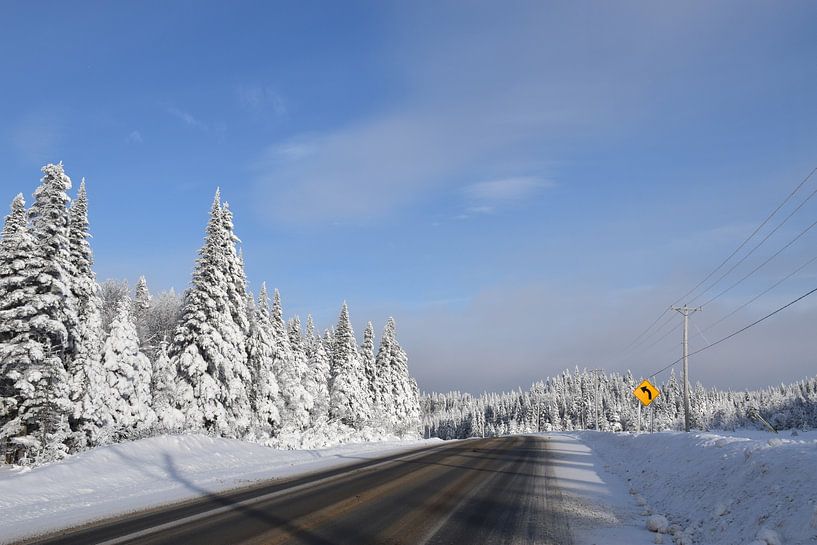 Eine Landstraße im Winter von Claude Laprise