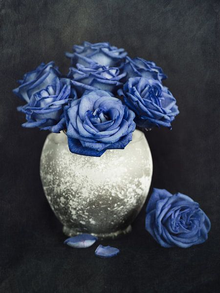 Blue roses by Lorena Cirstea