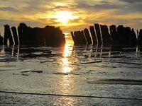 Zonsondergang met ijs en palenrij