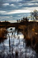 der Abend bricht herein, natürliche Schönheit