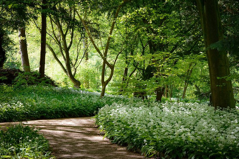 Badgerchives im Amsterdamer Wald von Merel Pape Photography