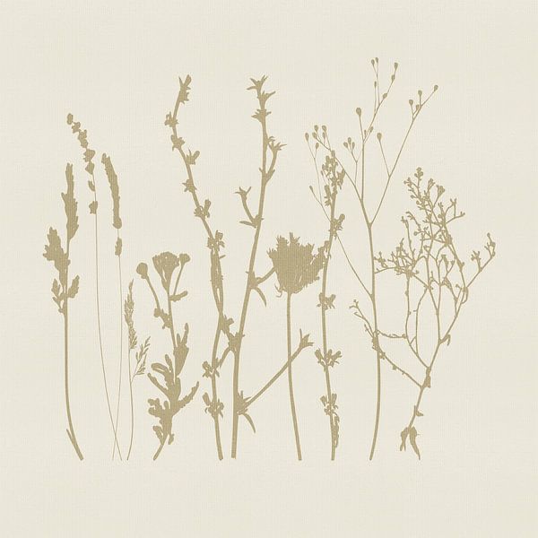 Lavande et herbes en beige sur crème par Dina Dankers