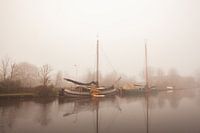 Ripening in the morning