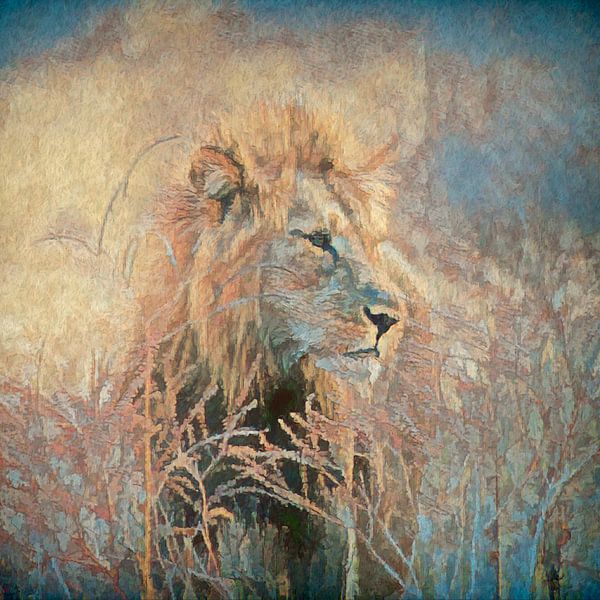 Lion in tall grass. by Francis Dost