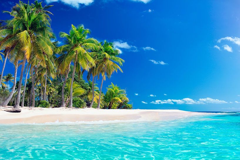 Tropischer weißer Strand mit Palmen von JW Does
