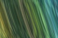 L'oasis au bord de l'eau